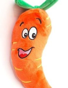 Furry Carrot Toy